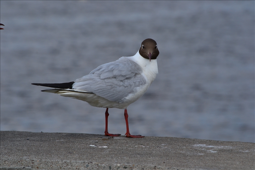 DSC_3240.jpeg