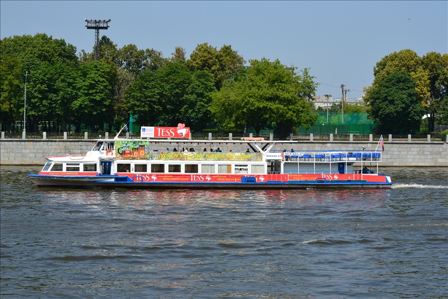 153.jpg
