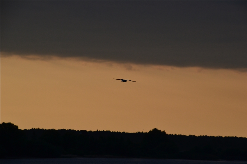 DSC_4874.jpeg