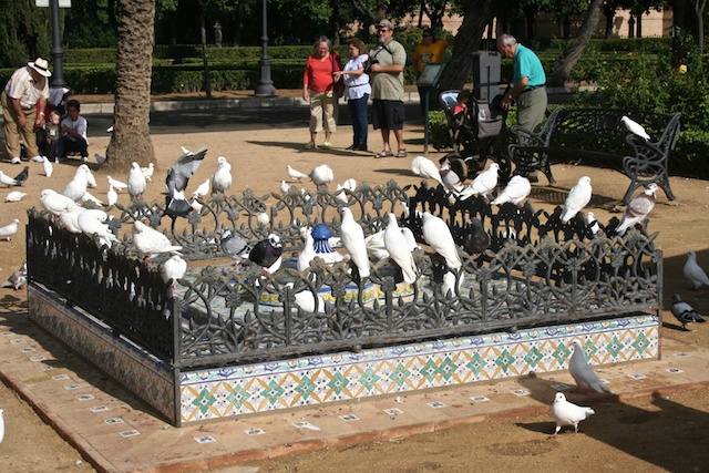 IMG_0784.jpg