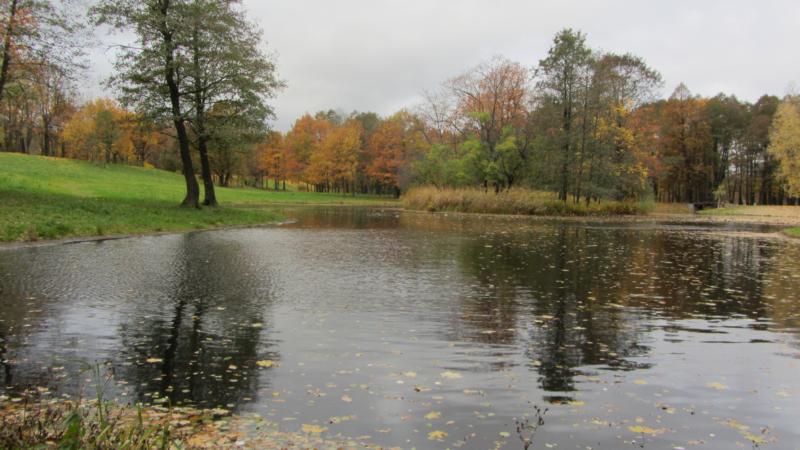 park1.jpg