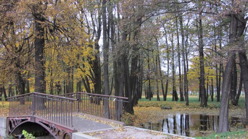 park8.jpg