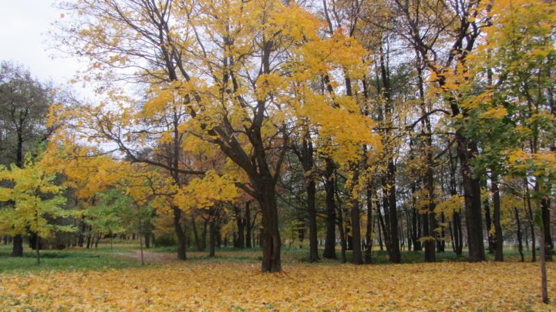 park10.jpg
