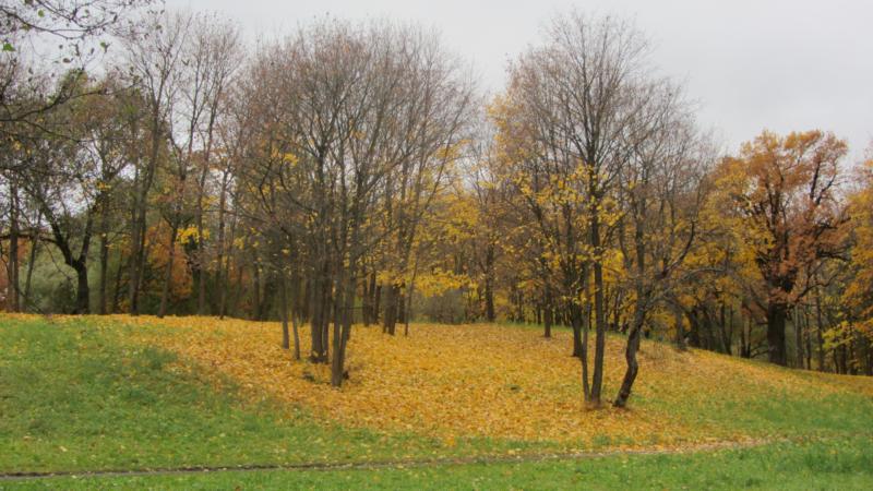 park11.jpg