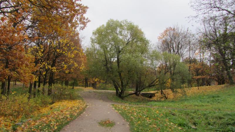 park12.jpg