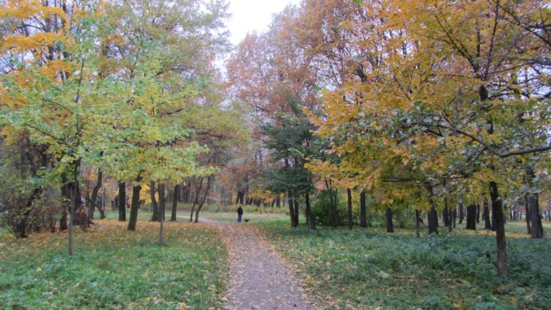 park13.jpg