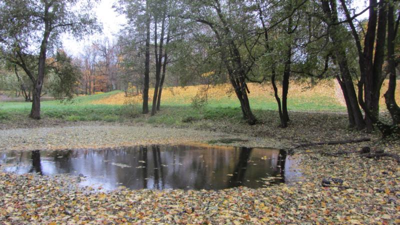 park20.jpg