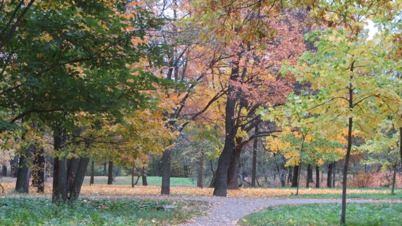 park22.jpg