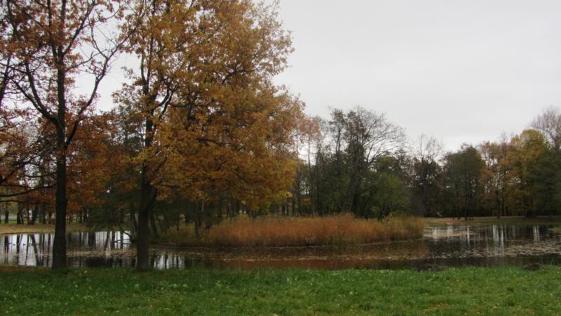 park25.jpg