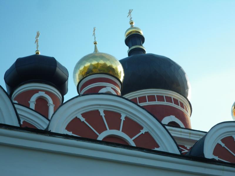 IMGP4985-1.jpg