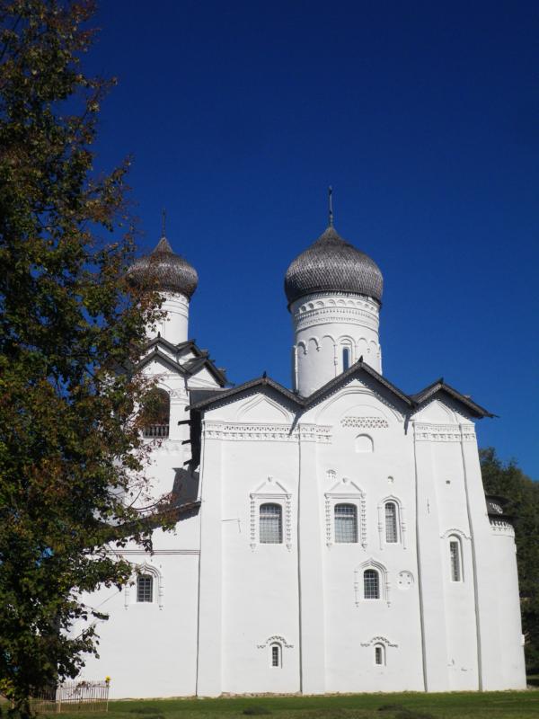 IMGP4901-1.jpg