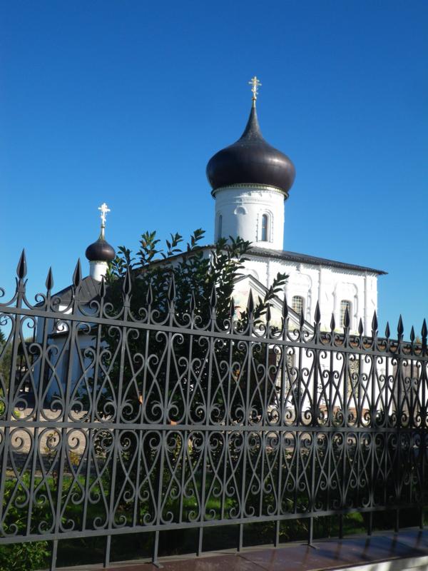 IMGP4967-1.jpg