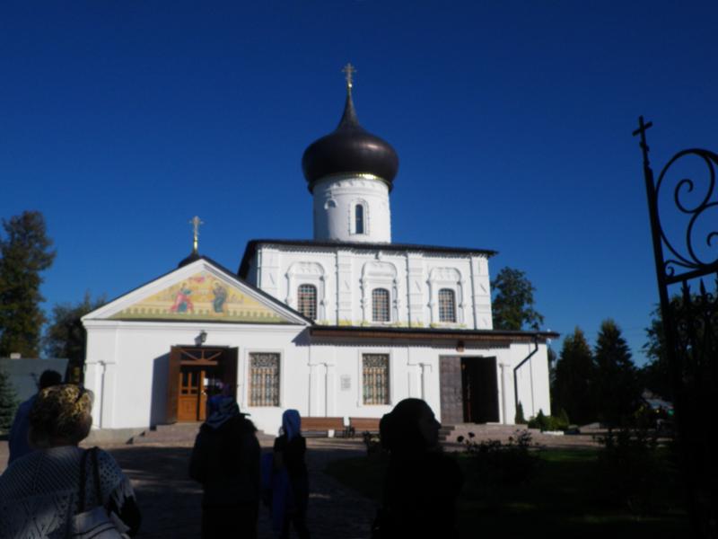 IMGP4969-1.jpg