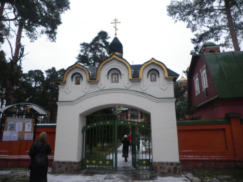 IMGP5187-1.jpg