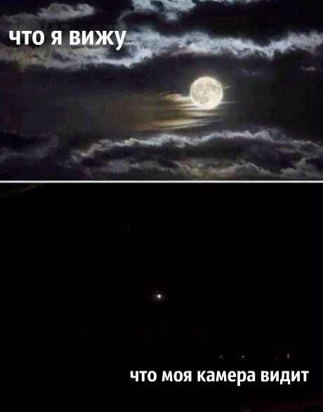 я и камера.jpg