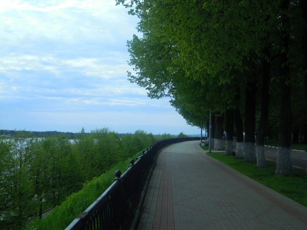 58.jpg