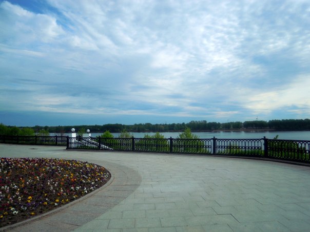61.jpg