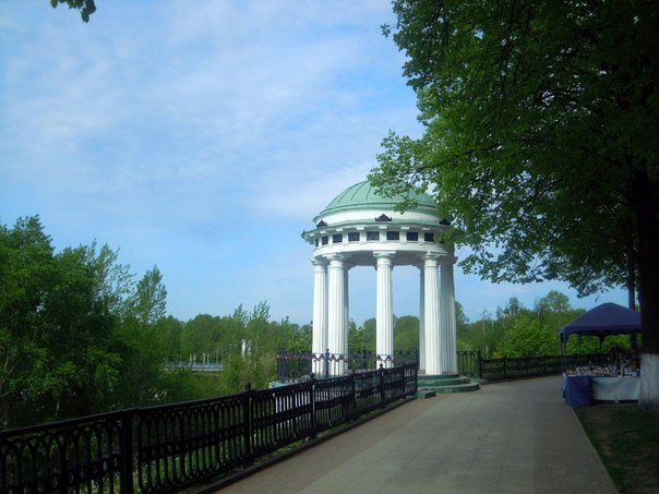 64.jpg