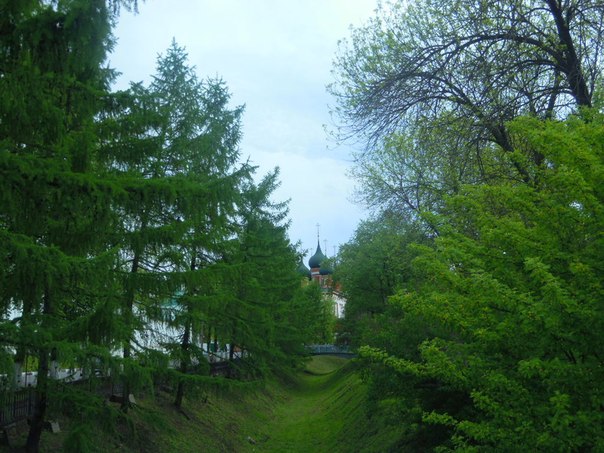 68.jpg