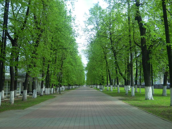 73.jpg