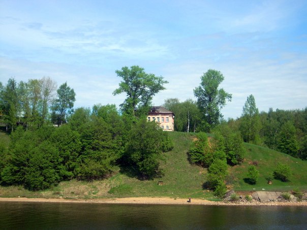 85.jpg