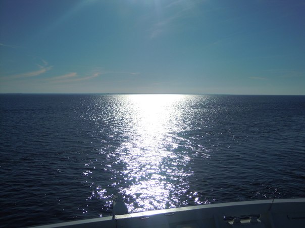 88.jpg