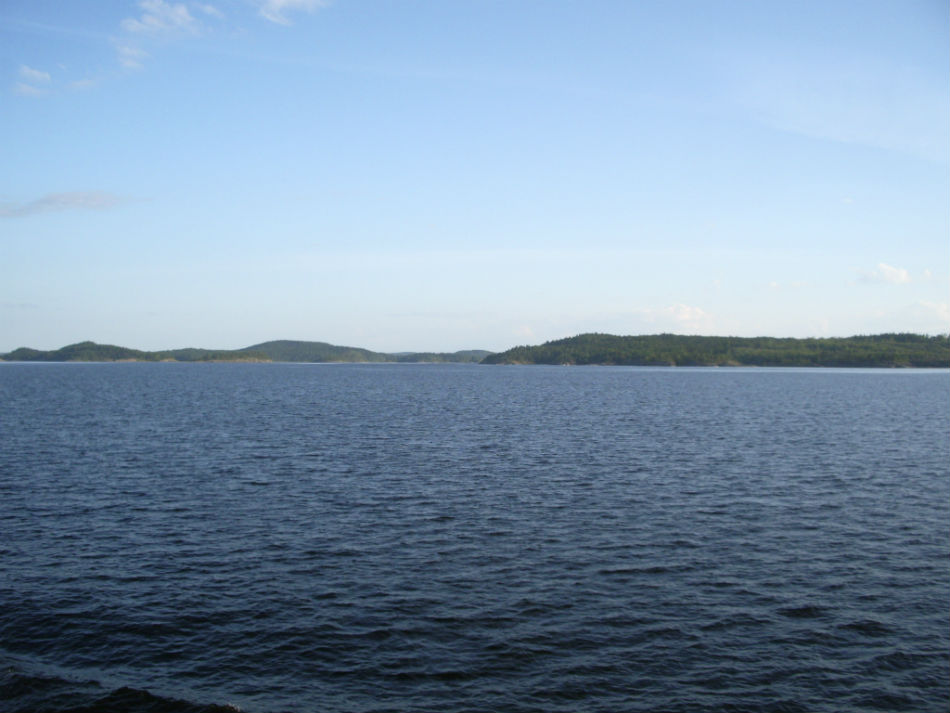 IMGP7293.jpg