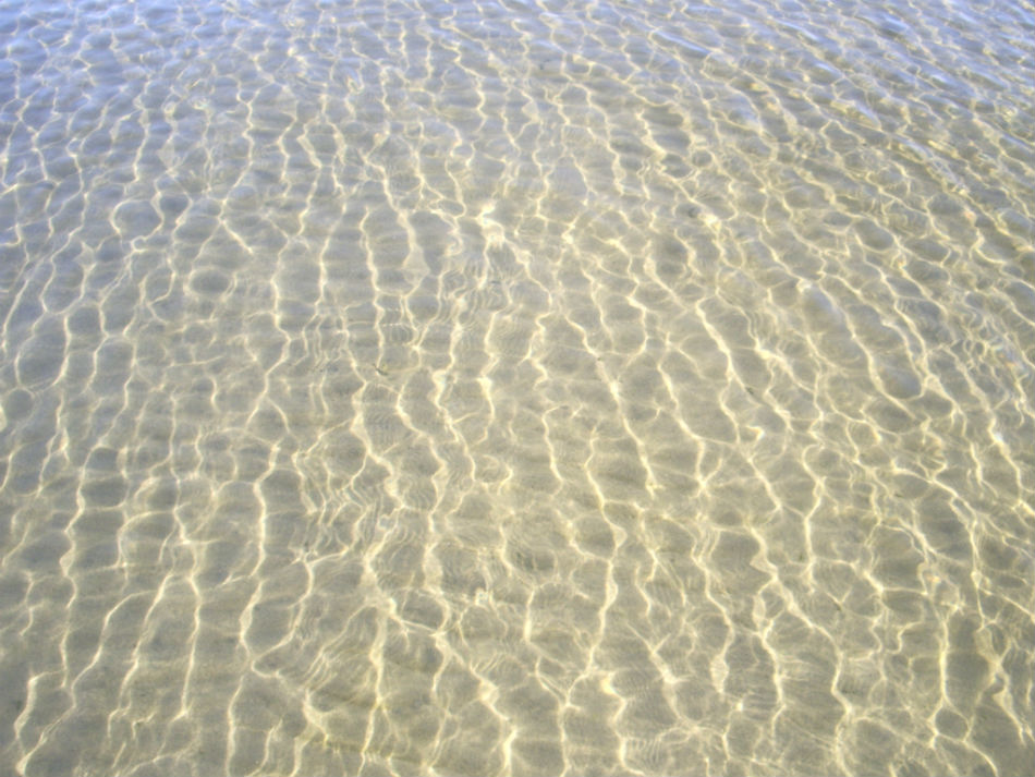 IMGP7410.jpg