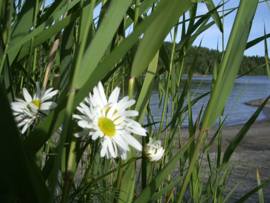 IMGP7402.jpg