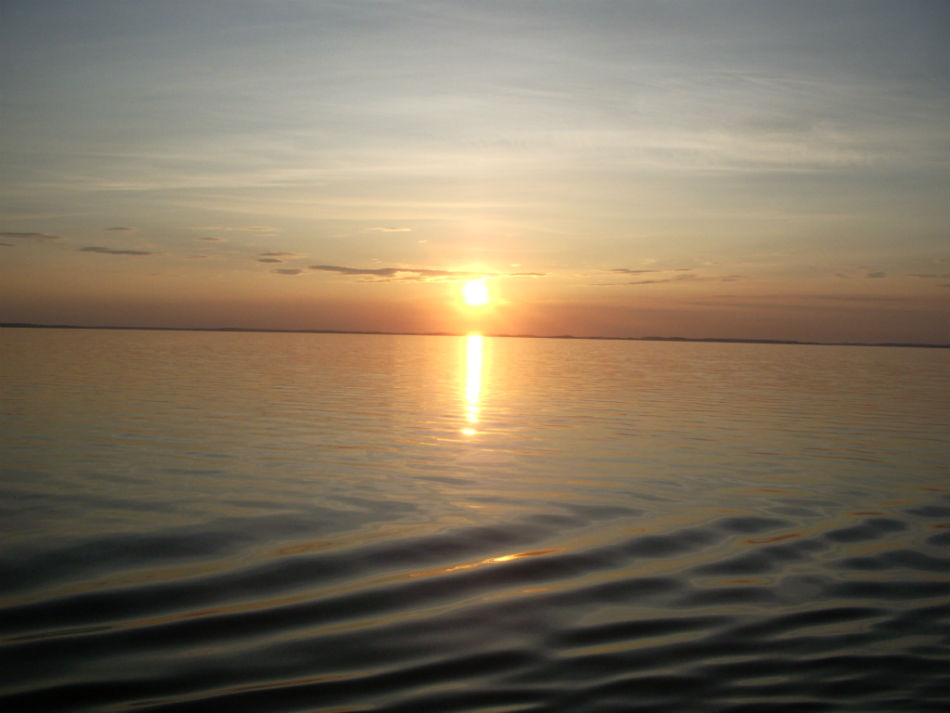 IMGP7429.jpg