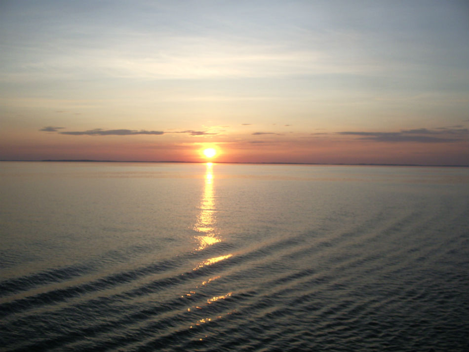 IMGP7437.jpg