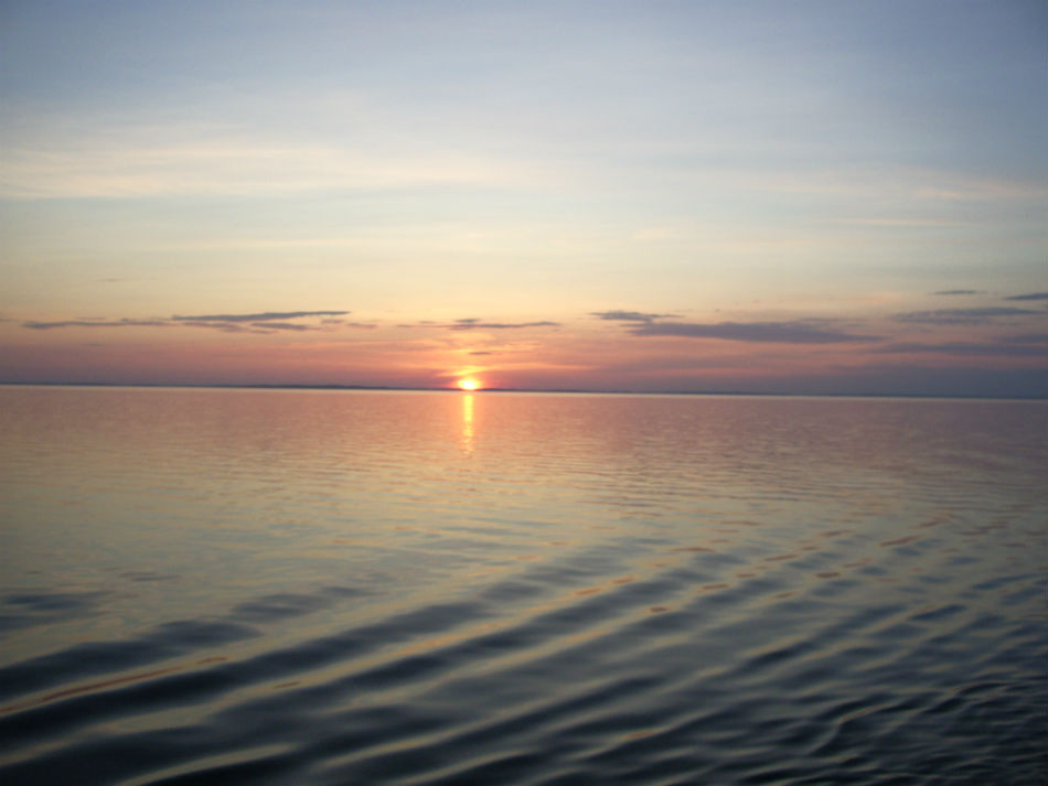 IMGP7443.jpg