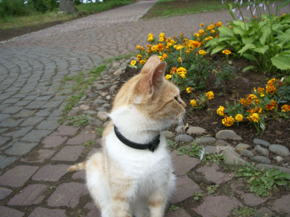 IMGP7479.jpg