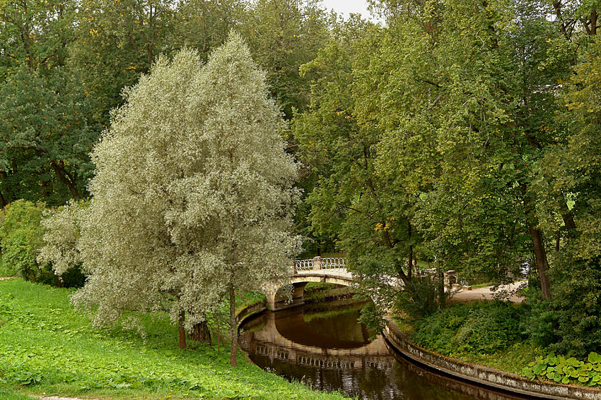 DSC09056.JPG