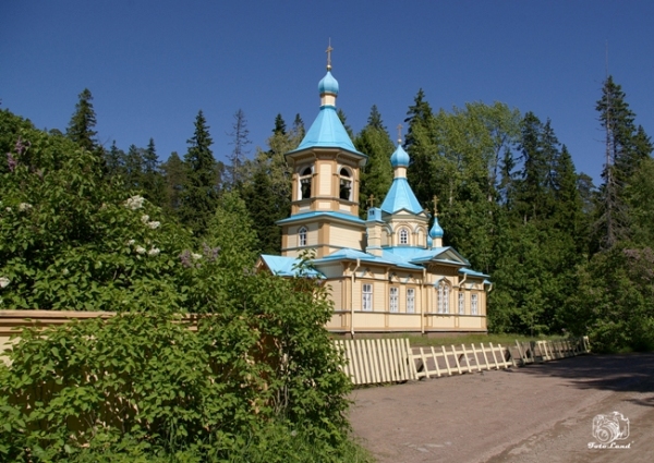 IMGP8553.JPG