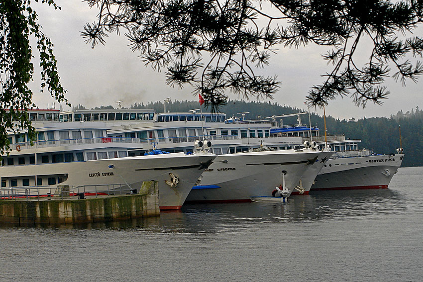 DSC09566.JPG