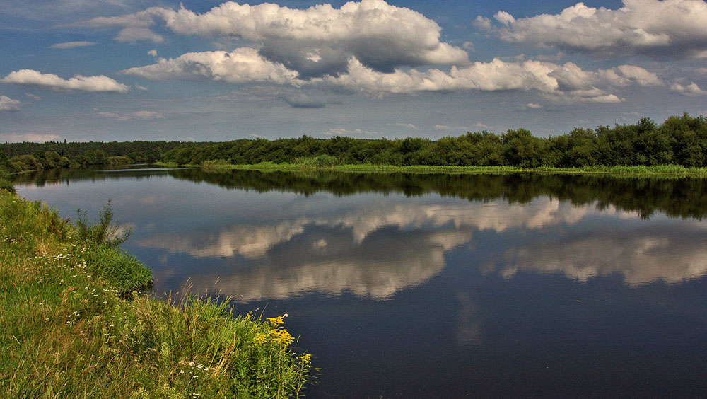 622744_91.jpg