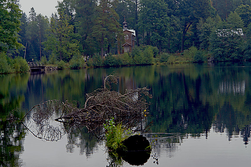 DSC09677.JPG