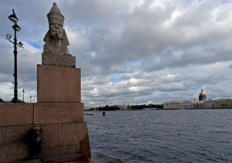 DSC08716.jpg
