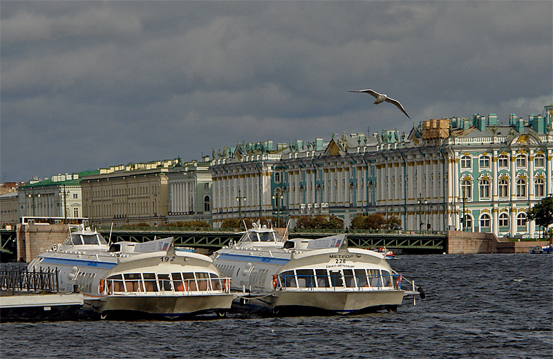 DSC08689.jpg