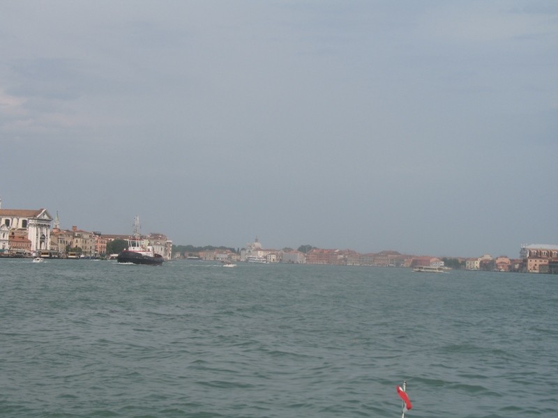 IMG_5380.jpg