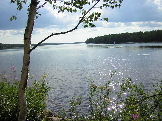 DSCN7951.jpg