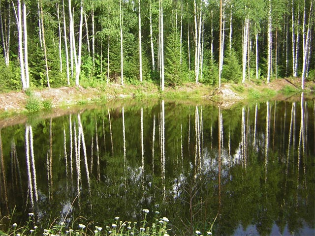 DSCN8000.jpg