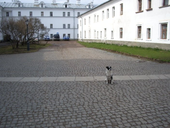 IMGP2436.JPG