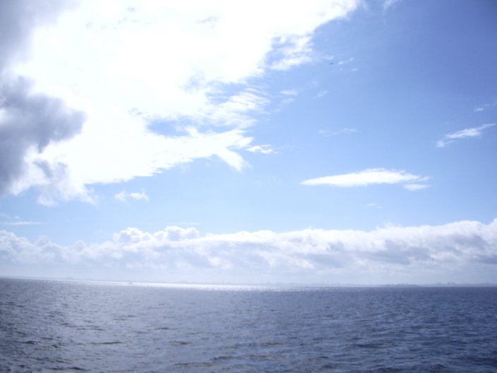 IMGP3198.JPG