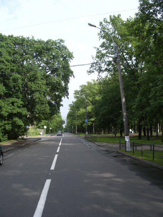 IMGP3369.JPG