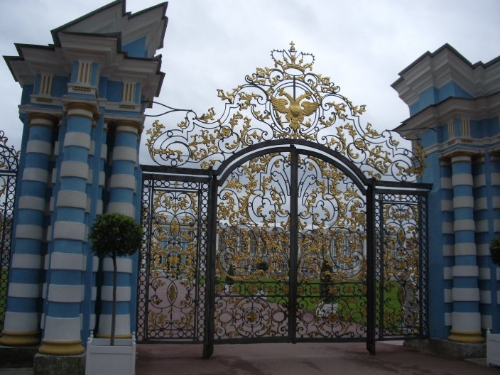 IMGP3321.JPG