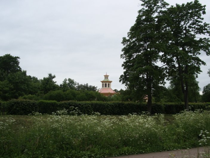 IMGP3338.JPG