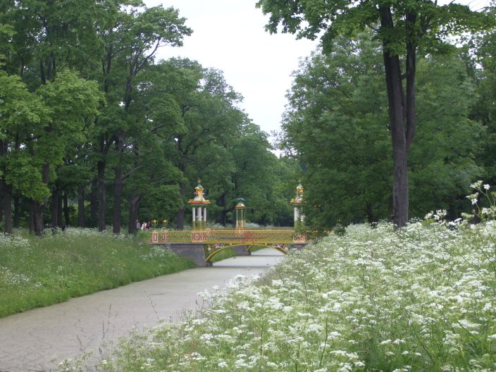 IMGP3342.JPG