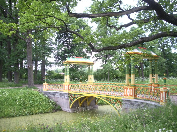IMGP3346.JPG